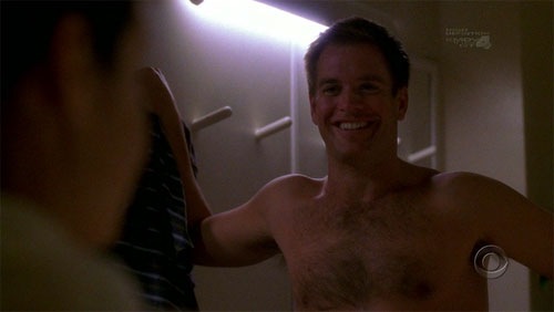 michael_weatherly_shirtless