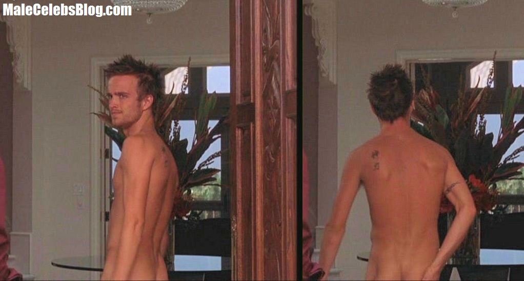 Aaron paul nude.