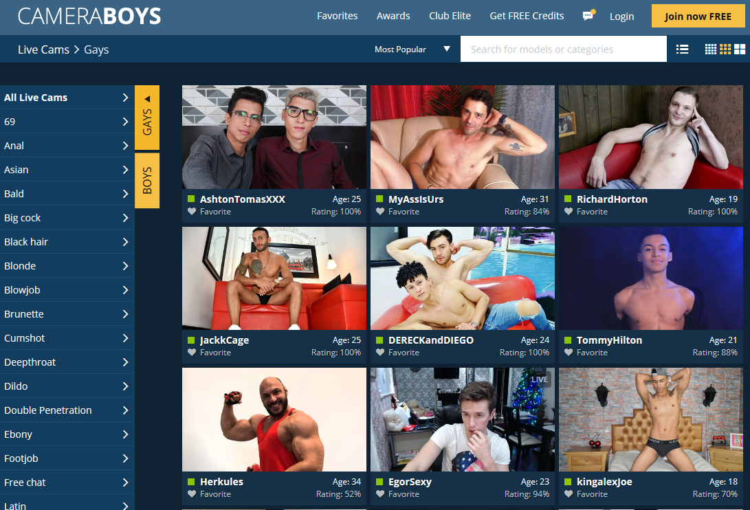 Camera Boys Gay Cams